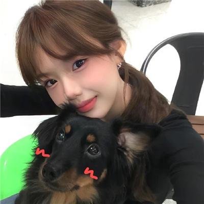 麒麟之翼